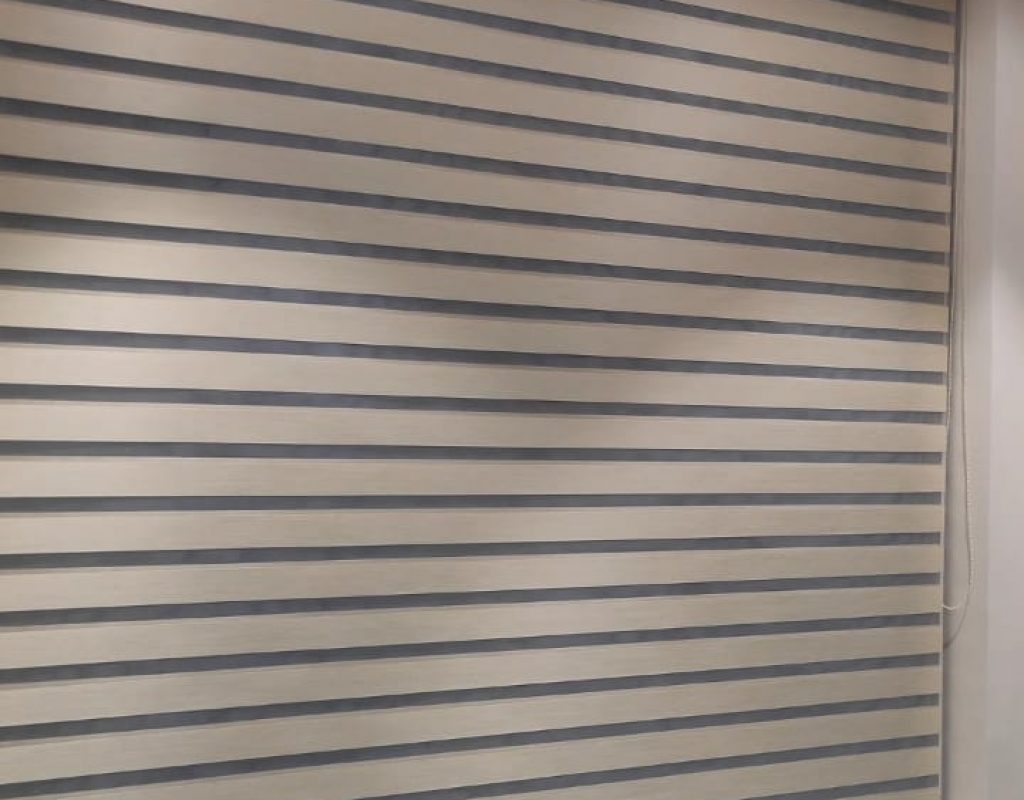 Zebra Blinds